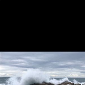 Meet your Posher, Hayley